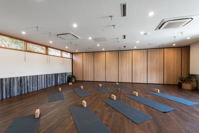 Multiple yoga mats laid out in the studio in preparation for a yoga class
