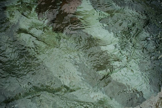 water background